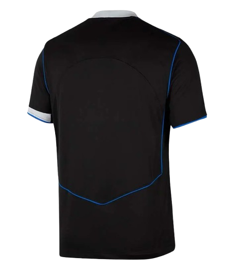 Back View of Chelsea FC