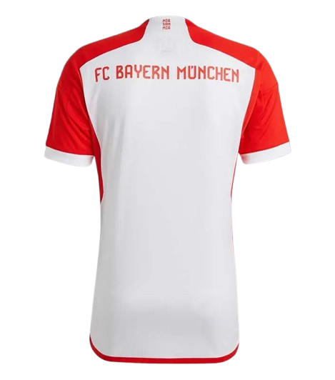 Back View of Bayern Munich