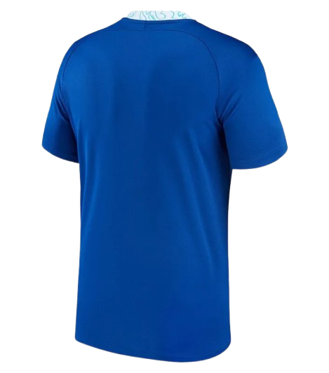 Back View of Chelsea FC