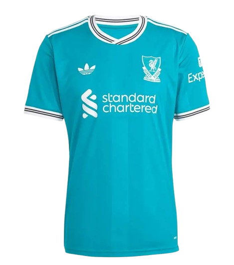 Back View of Liverpool FC