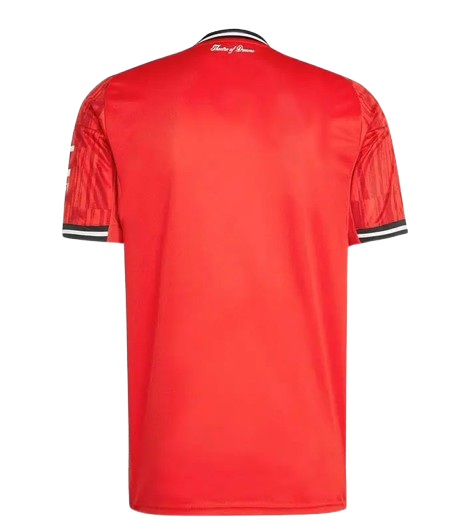 Back View of Manchester United