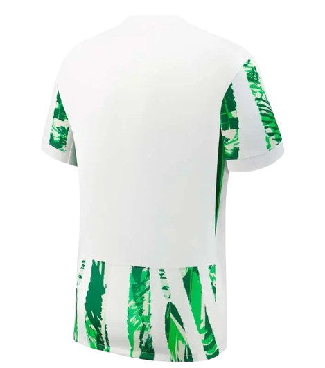 Back View of Nigeria