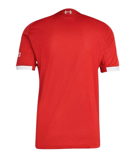 Back View of Liverpool FC