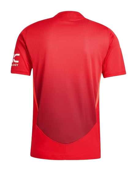 Back View of Manchester United